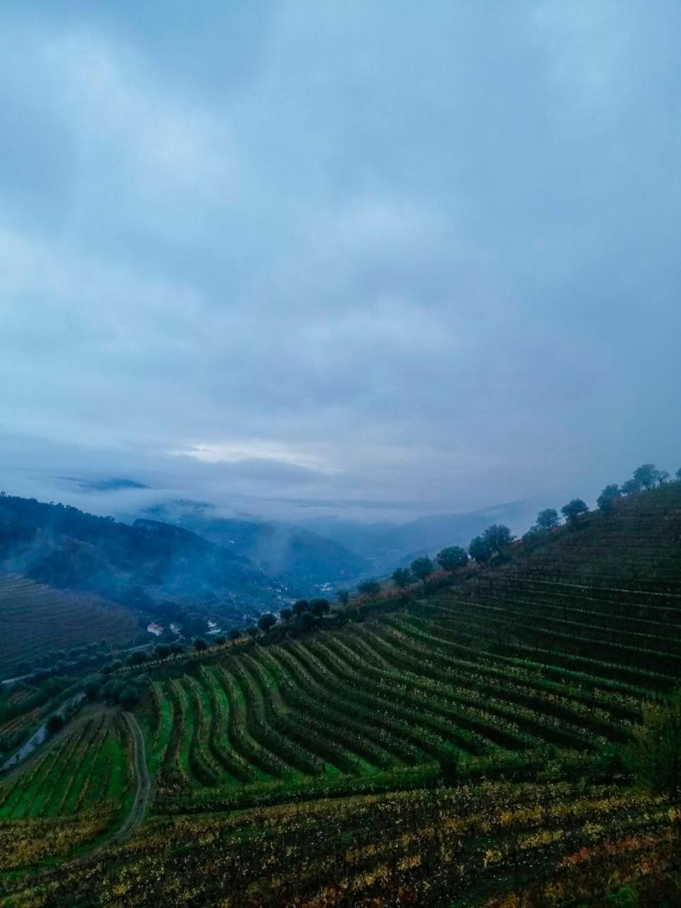 Quinta De Baixo Villa Vila Marim Dış mekan fotoğraf