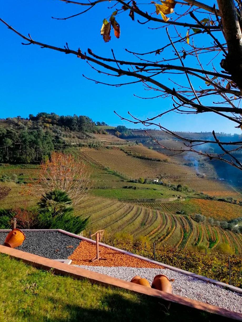 Quinta De Baixo Villa Vila Marim Dış mekan fotoğraf