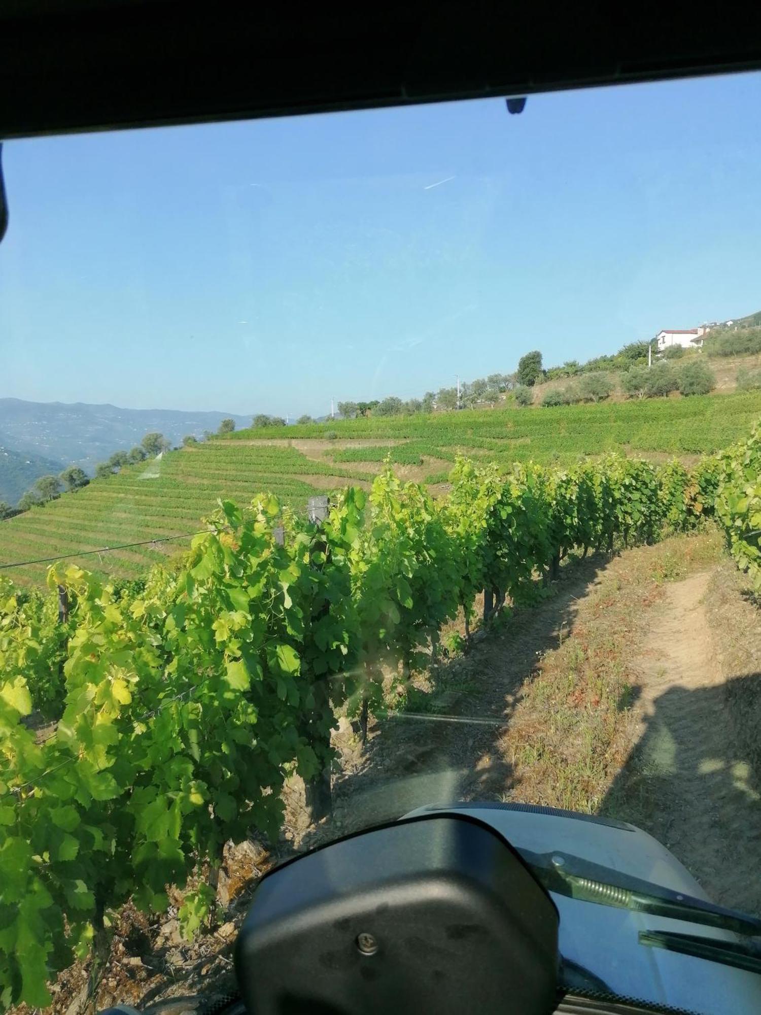 Quinta De Baixo Villa Vila Marim Dış mekan fotoğraf