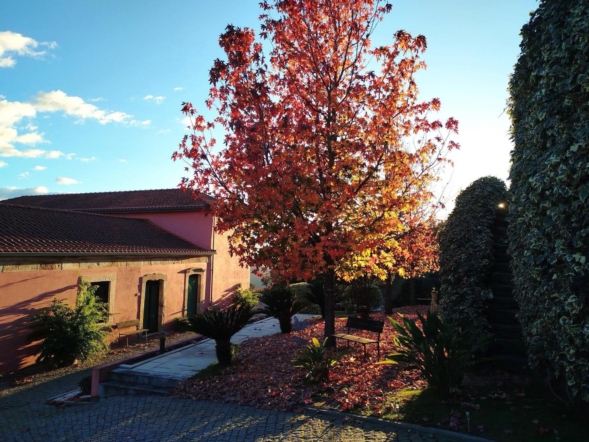 Quinta De Baixo Villa Vila Marim Dış mekan fotoğraf